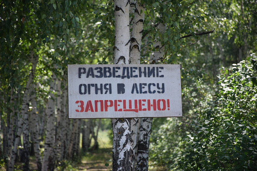 В саратовских лесах усилят противопожарный контроль